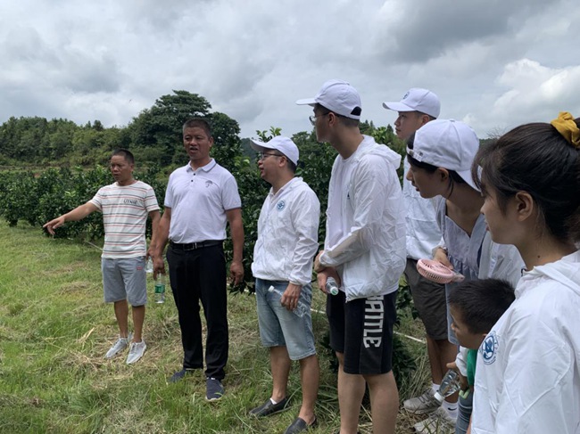 實踐隊在村主任伍玉炎帶領下參觀贛南臍橙種植園。福建船政交通職業(yè)學院供圖
